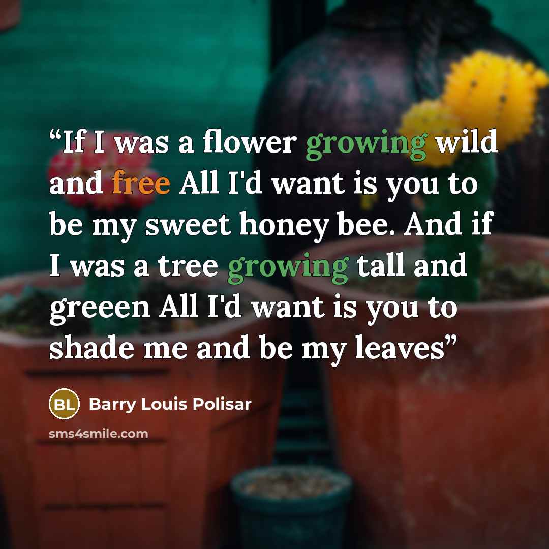 “If I was a flower growing wild and free All I'd want is you to be my sweet honey bee. And if I was a tree growing tall and greeen All I'd want is you to shade me and be my leaves” quote by Barry Louis Polisar