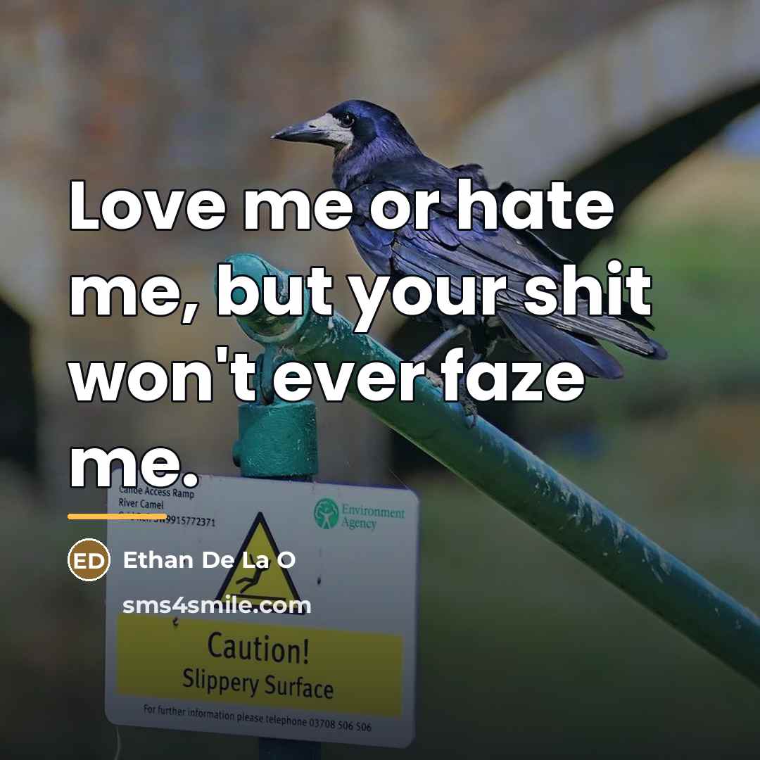“Love me or hate me, but your shit won't ever…” quote by Ethan De La O