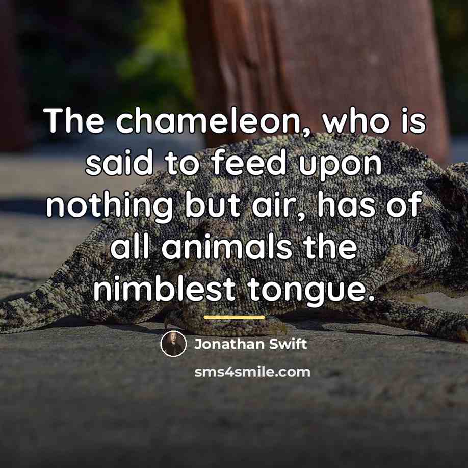 “The chameleon, who is said to feed upon nothing but…” quote by Jonathan Swift
