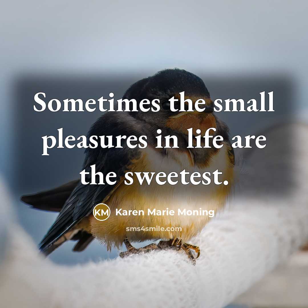 “Sometimes the small pleasures in life are the sweetest.…” quote by Karen Marie Moning
