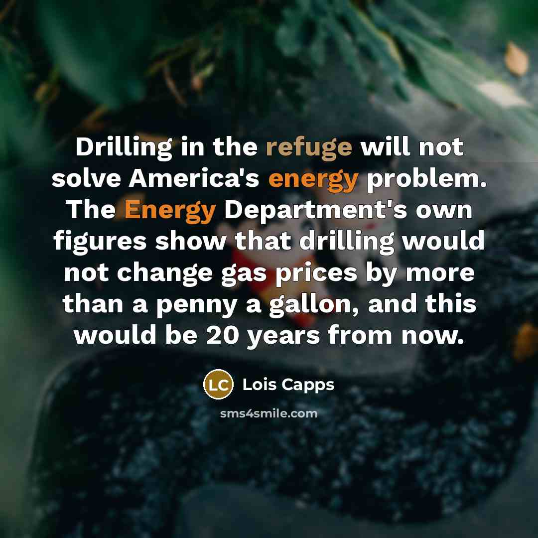 “Drilling in the refuge will not solve America's energy problem.…” quote by Lois Capps