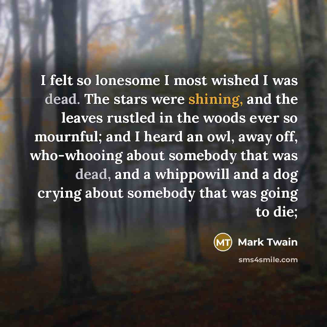 “I felt so lonesome I most wished I was dead.…” quote by Mark Twain