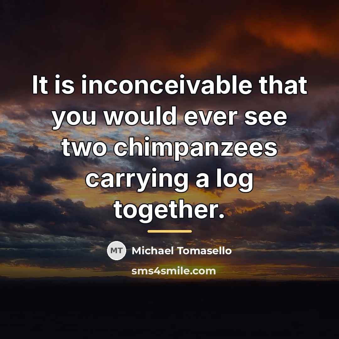 “It is inconceivable that you would ever see two chimpanzees…” quote by Michael Tomasello