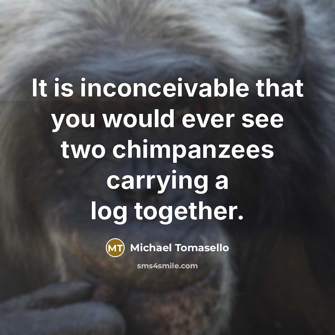“It is inconceivable that you would ever see two chimpanzees carrying a log together.” quote by Michael Tomasello