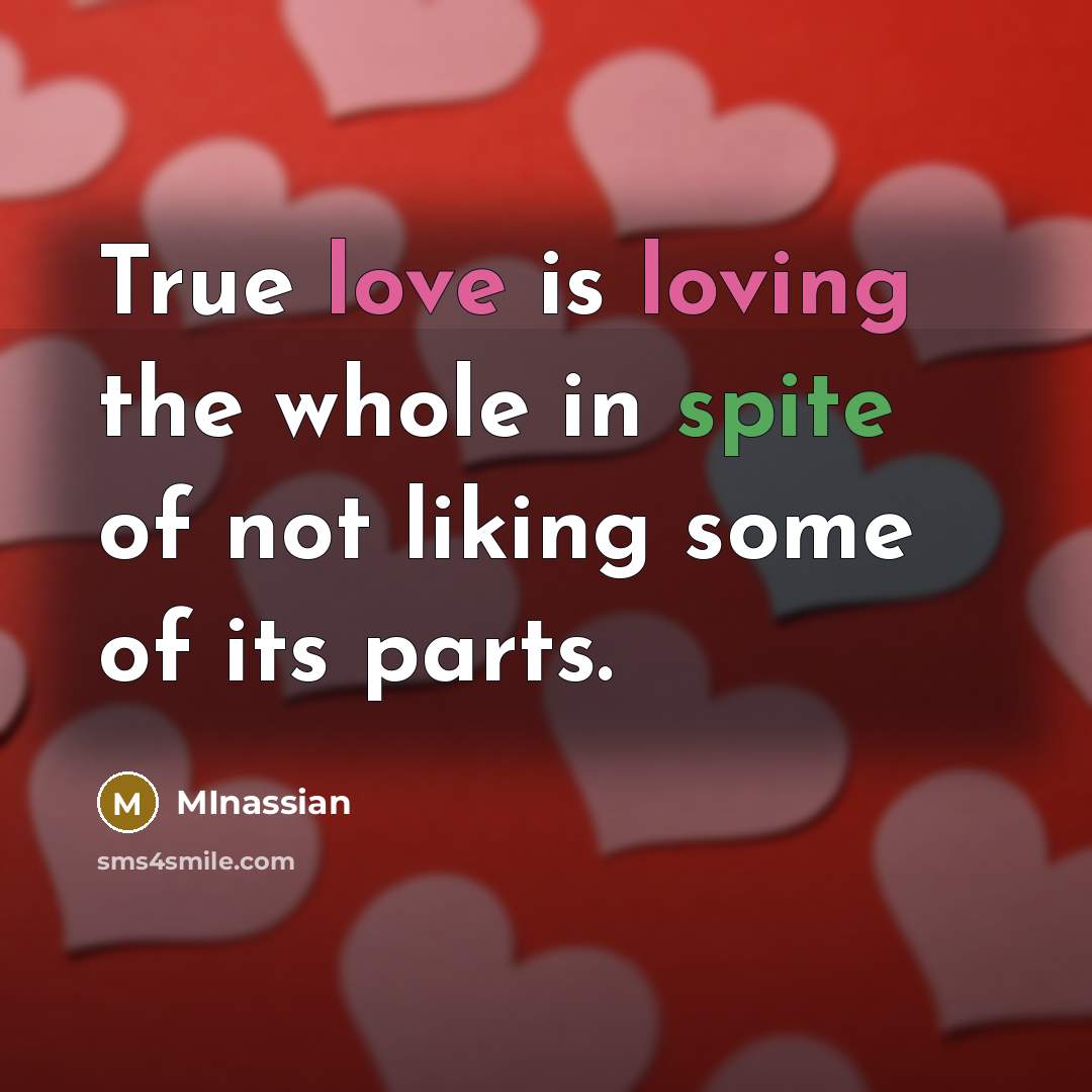 “True love is loving the whole in spite of not liking some of its parts.” quote by MInassian