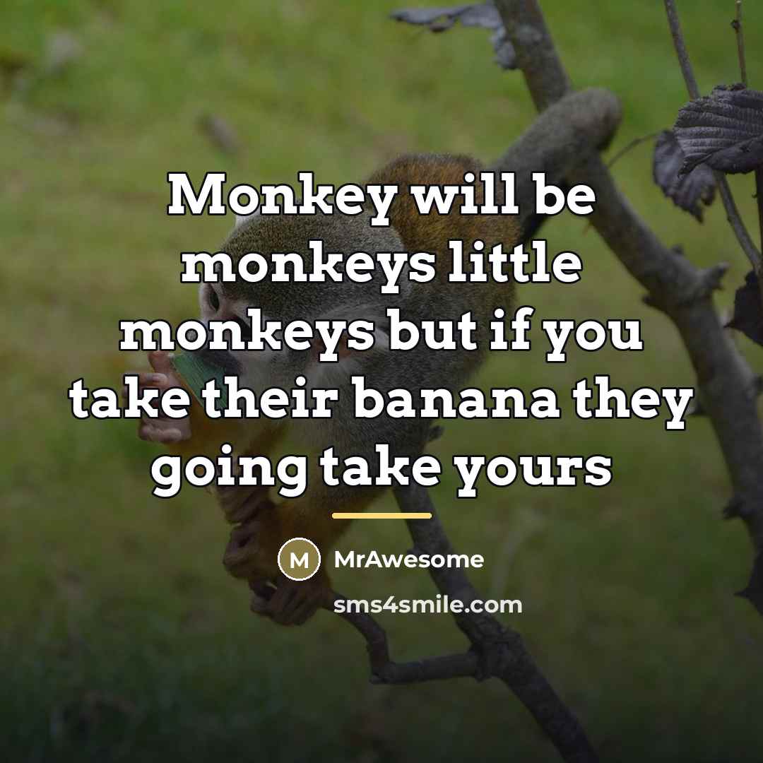 “Monkey will be monkeys little monkeys but if you take…” quote by MrAwesome