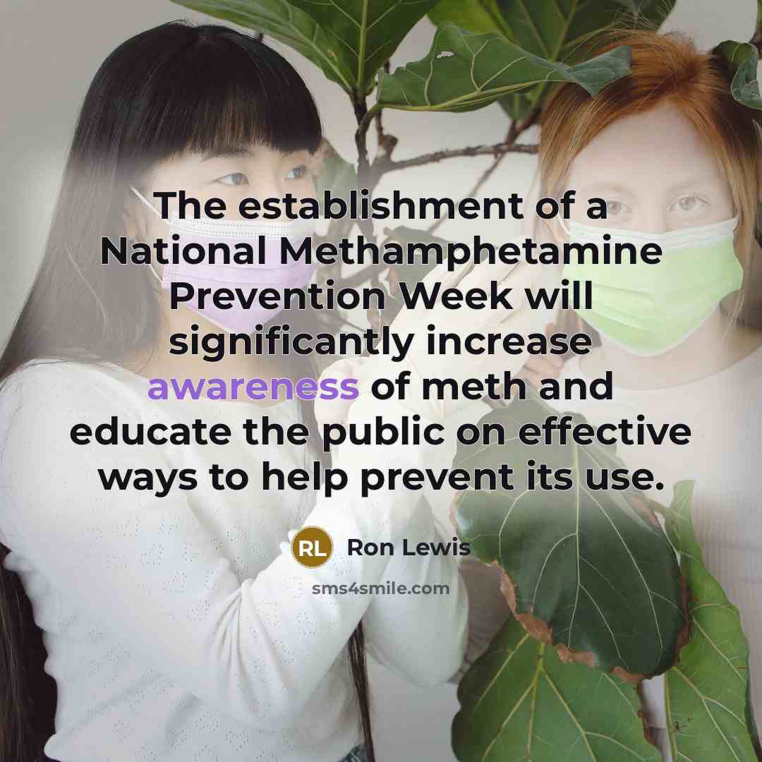 “The establishment of a National Methamphetamine Prevention Week will significantly…” quote by Ron Lewis