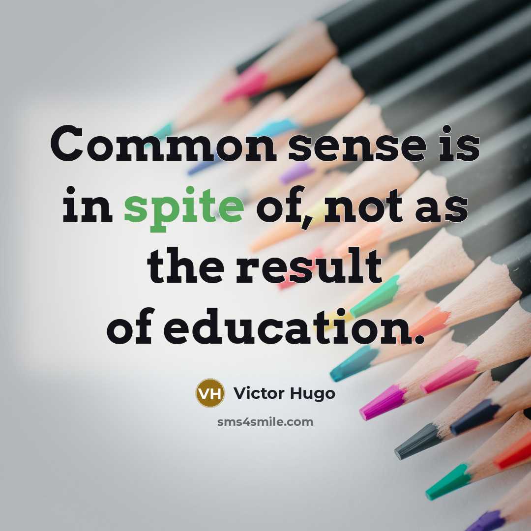 “Common sense is in spite of, not as the result…” quote by Victor Hugo