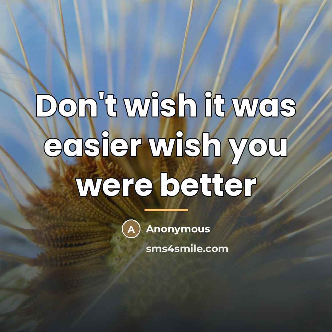 “Don't wish it was easier wish you were better…” quote by Anonymous
