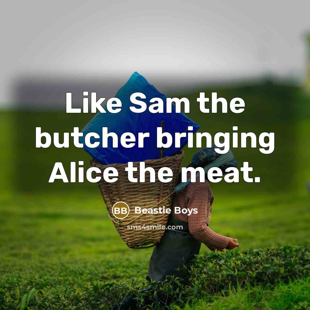 “Like Sam the butcher bringing Alice the meat.…” quote by Beastie Boys