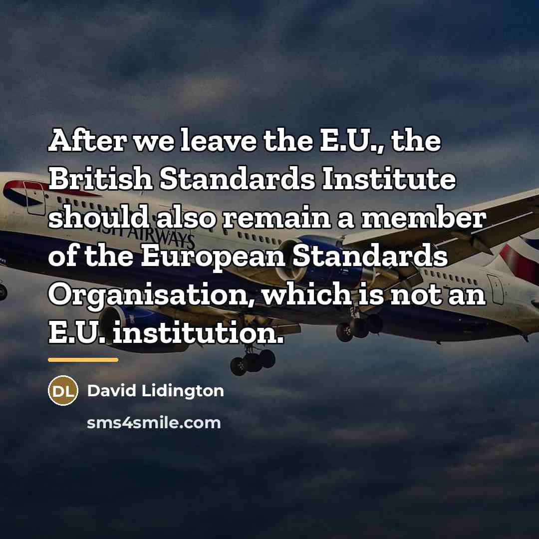 “After we leave the E.U., the British Standards Institute should…” quote by David Lidington