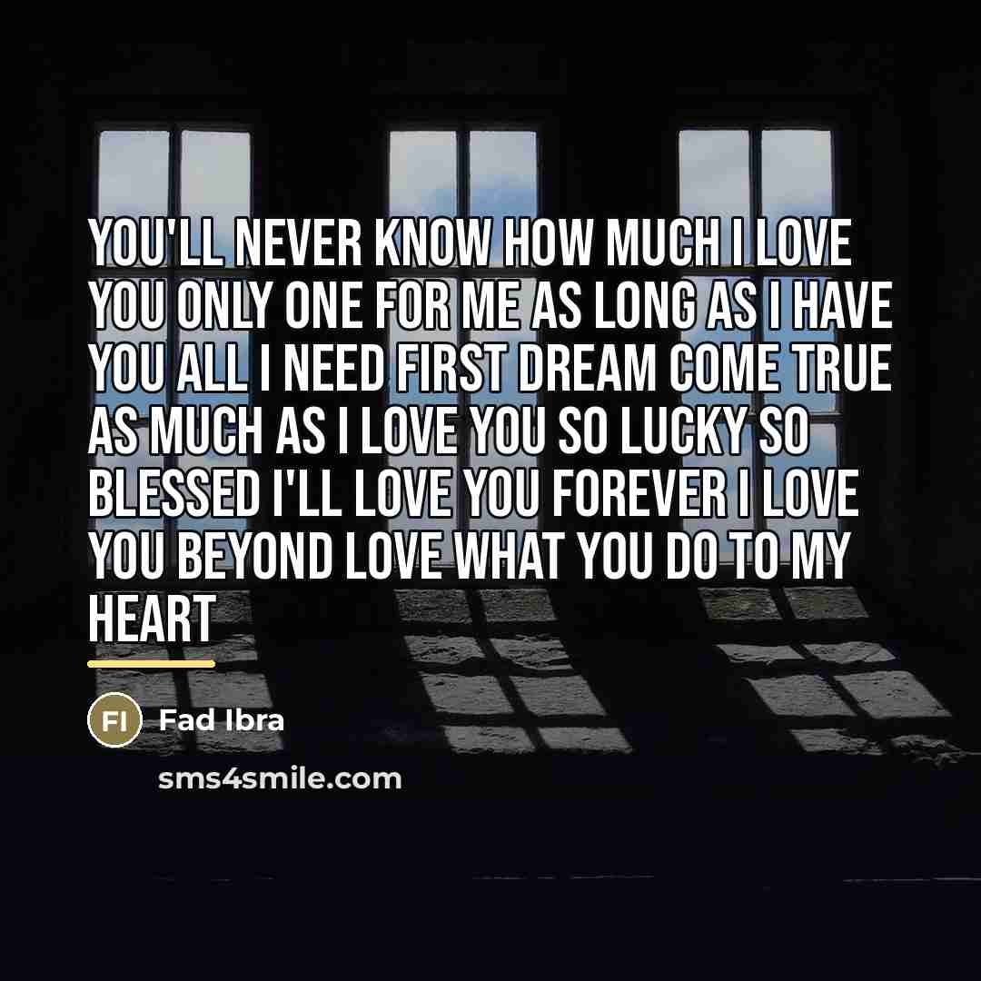 “You'll Never Know How Much I Love You Only One…” quote by Fad Ibra