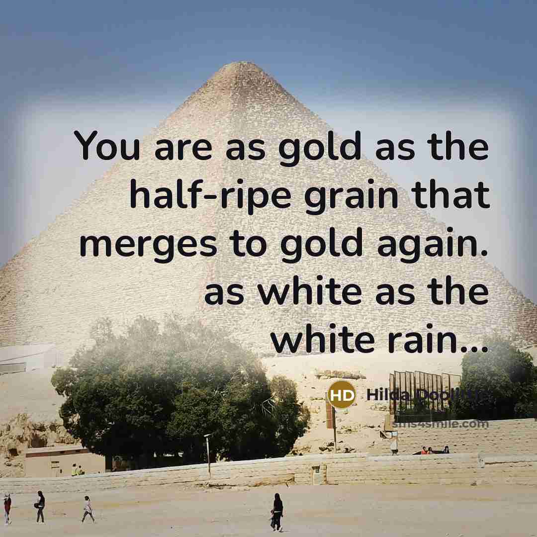 “You are as gold as the half-ripe grain that merges to gold again. as white as the white rain…” quote by Hilda Doolittle