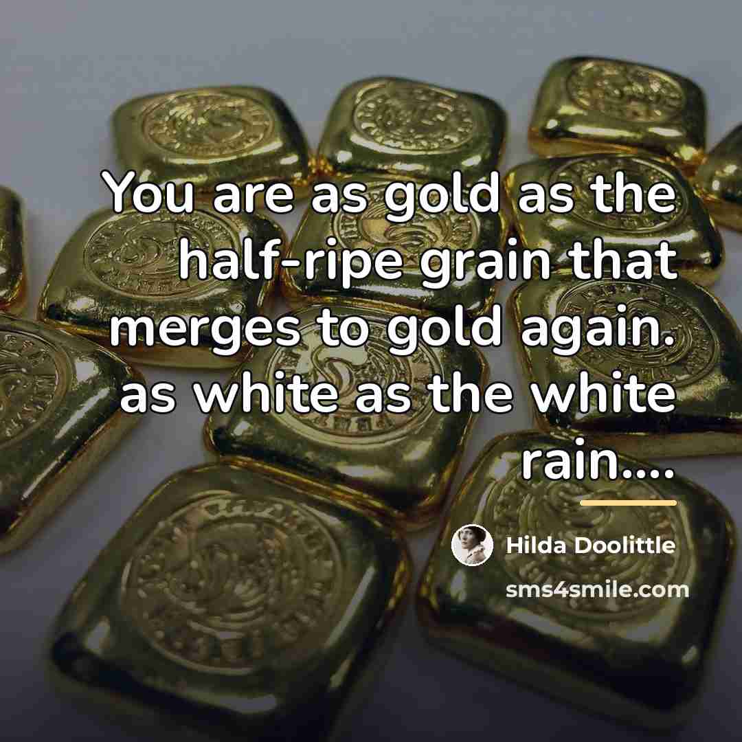 “You are as gold as the half-ripe grain that merges…” quote by Hilda Doolittle