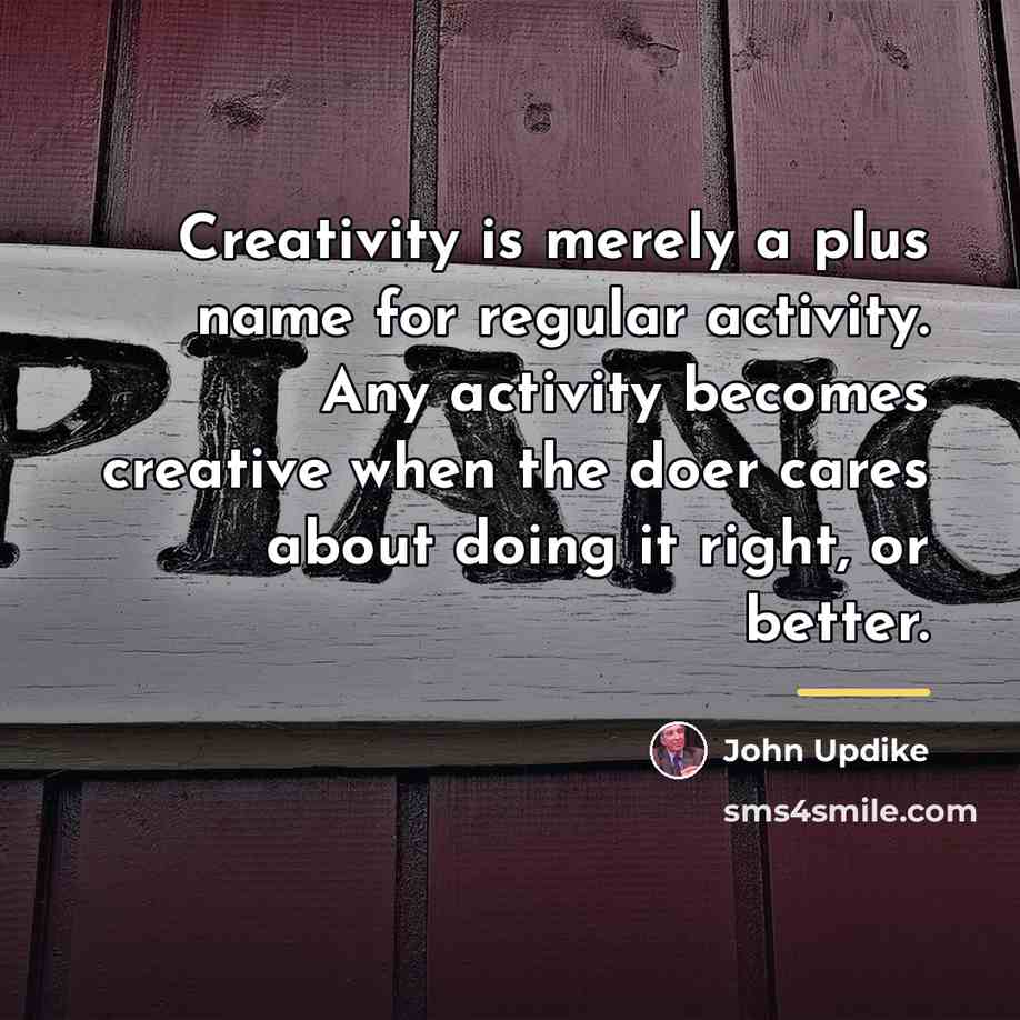 “Creativity is merely a plus name for regular activity. Any…” quote by John Updike