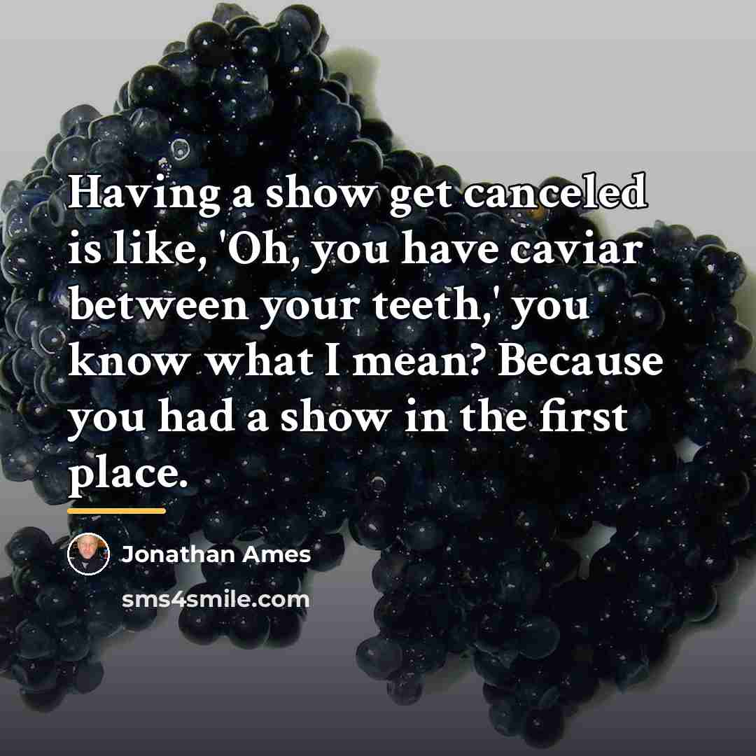 “Having a show get canceled is like, 'Oh, you have…” quote by Jonathan Ames