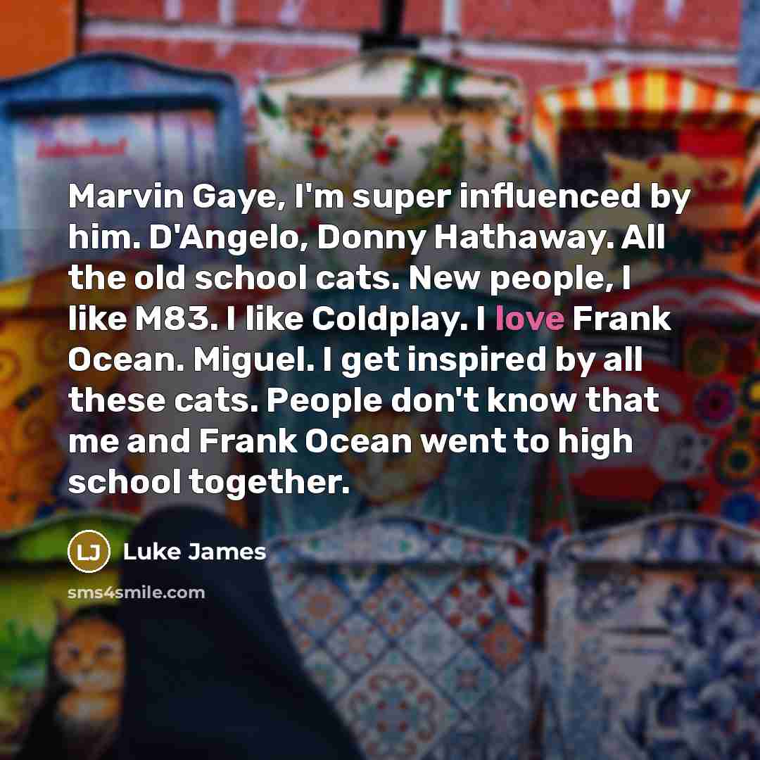 “Marvin Gaye, I'm super influenced by him. D'Angelo, Donny Hathaway.…” quote by Luke James