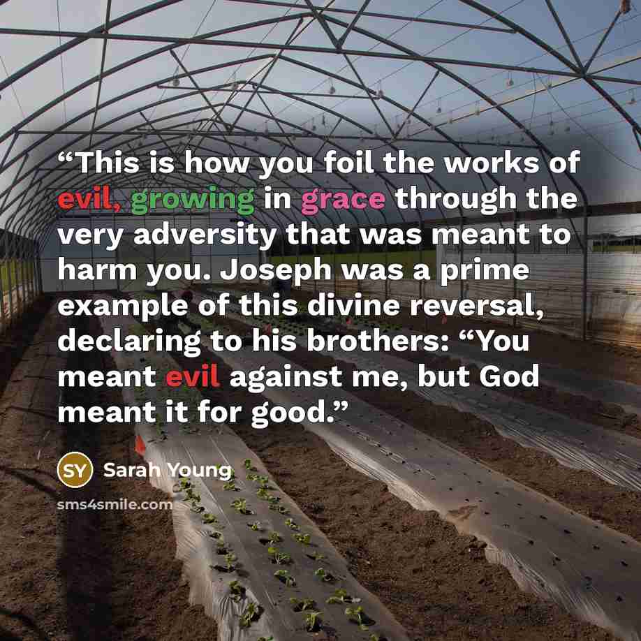“This is how you foil the works of evil, growing in grace through the very adversity that was meant to harm you. Joseph was a prime example of this divine reversal, declaring to his brothers: “You meant evil against me, but God meant it for good.” quote by Sarah Young