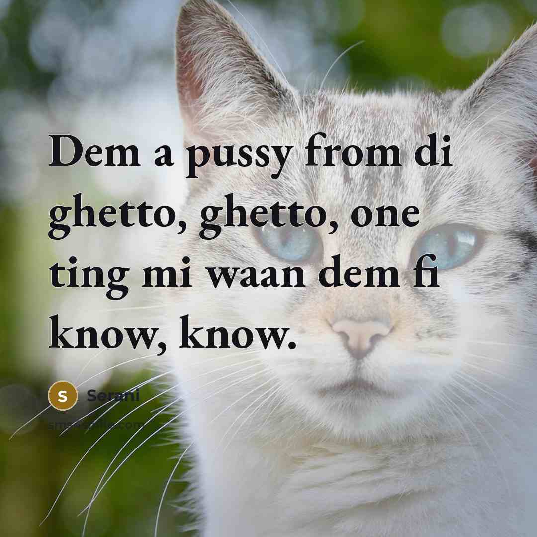 “Dem a pussy from di ghetto, ghetto, one ting mi waan dem fi know, know.” quote by Serani