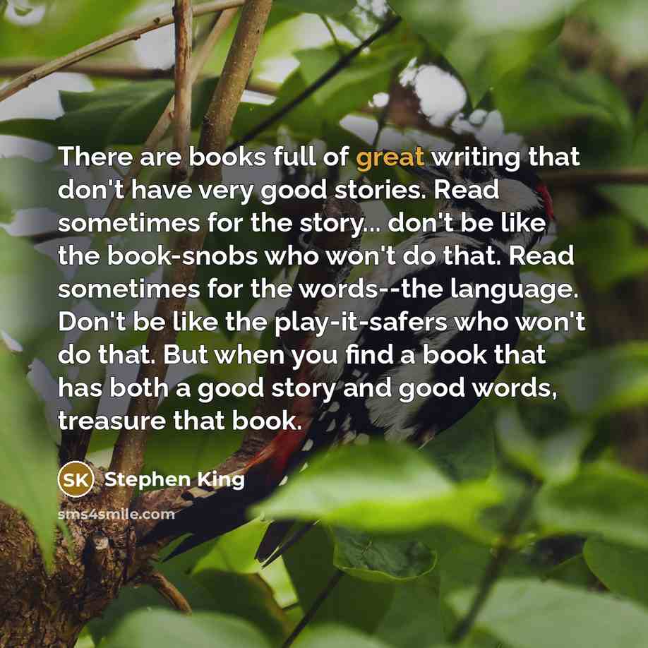 “There are books full of great writing that don't have…” quote by Stephen King