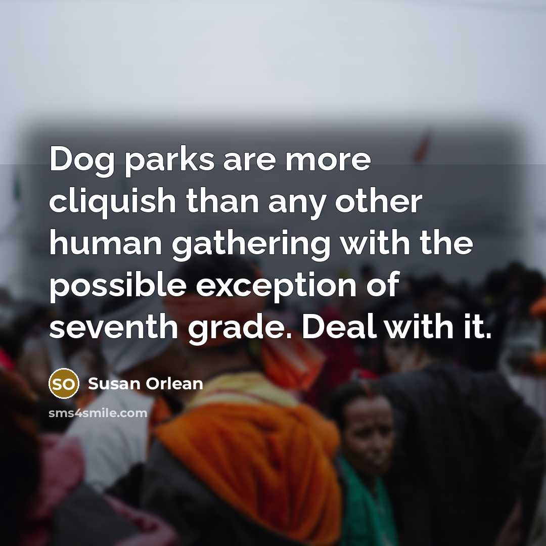 “Dog parks are more cliquish than any other human gathering…” quote by Susan Orlean