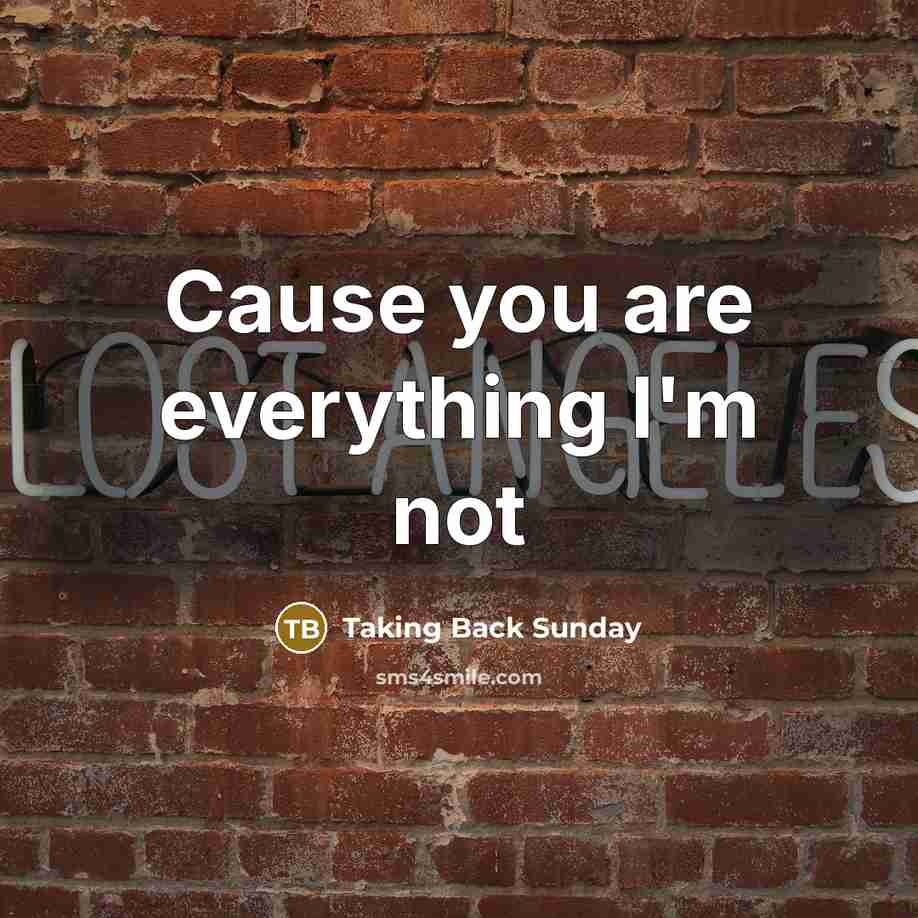 “Cause you are everything I'm not…” quote by Taking Back Sunday