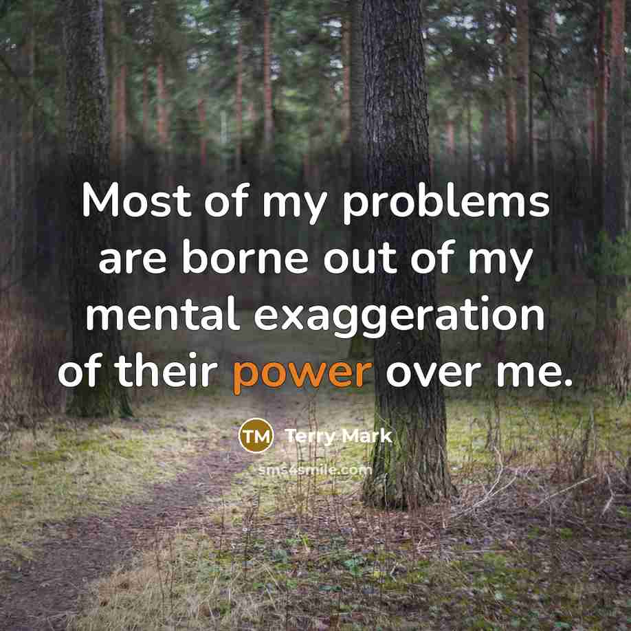 “Most of my problems are borne out of my mental exaggeration of their power over me.” quote by Terry Mark