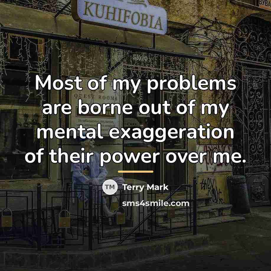 “Most of my problems are borne out of my mental…” quote by Terry Mark