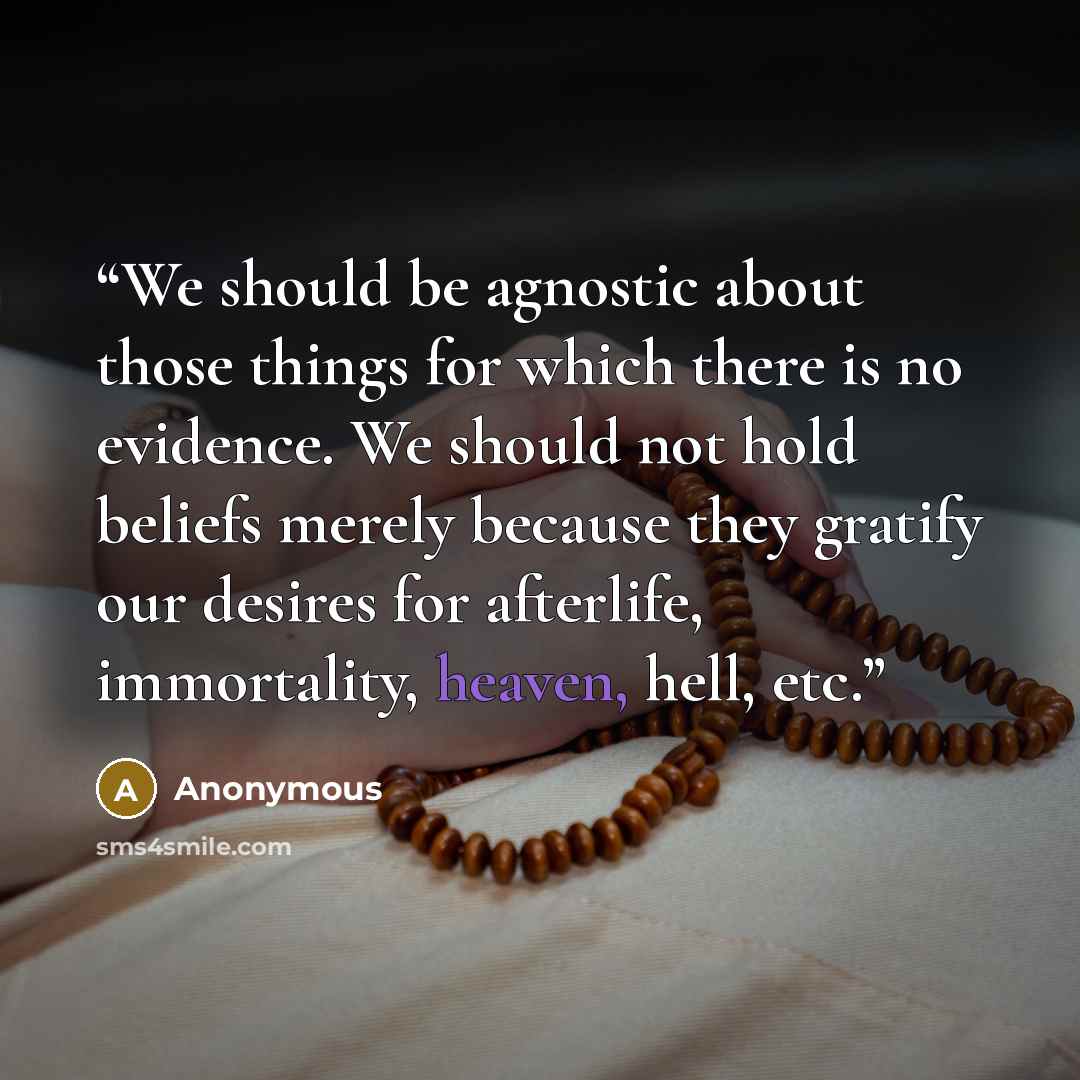 “We should be agnostic about those things for which there is no evidence. We should not hold beliefs merely because they gratify our desires for afterlife, immortality, heaven, hell, etc.” quote by Anonymous