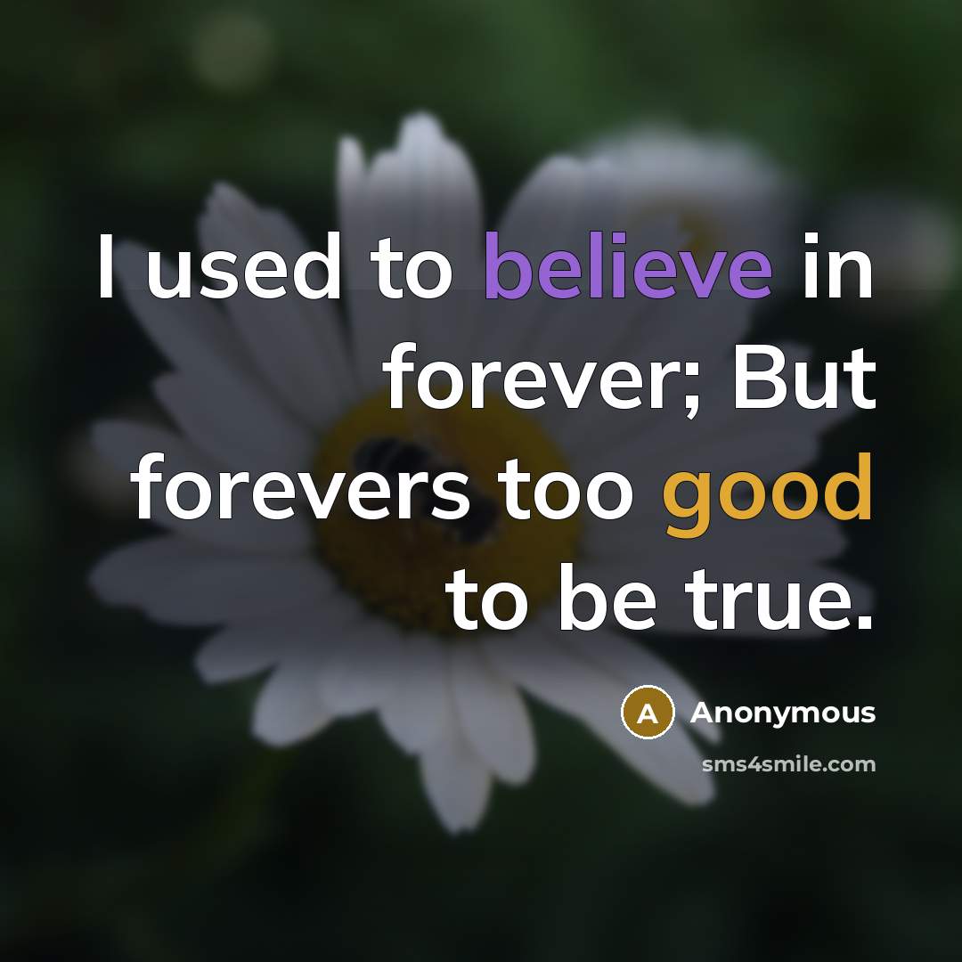 “I used to believe in forever; But forevers too good to be true.” quote by Anonymous