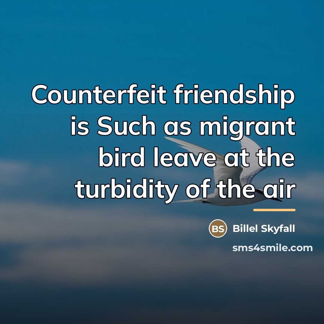 “Counterfeit friendship is Such as migrant bird leave at the…” quote by Billel Skyfall