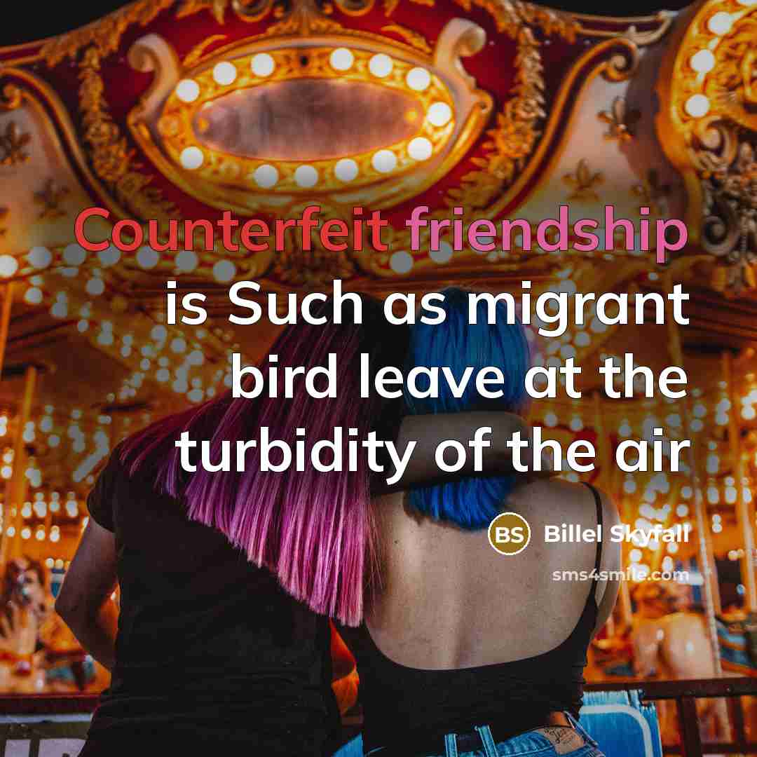 “Counterfeit friendship is Such as migrant bird leave at the turbidity of the air” quote by Billel Skyfall