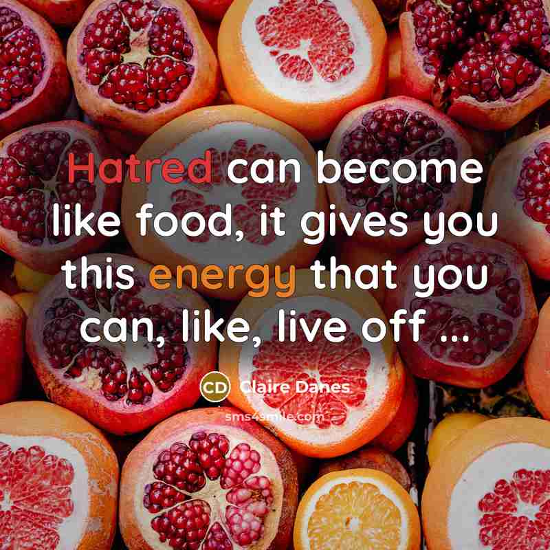 “Hatred can become like food, it gives you this energy…” quote by Claire Danes