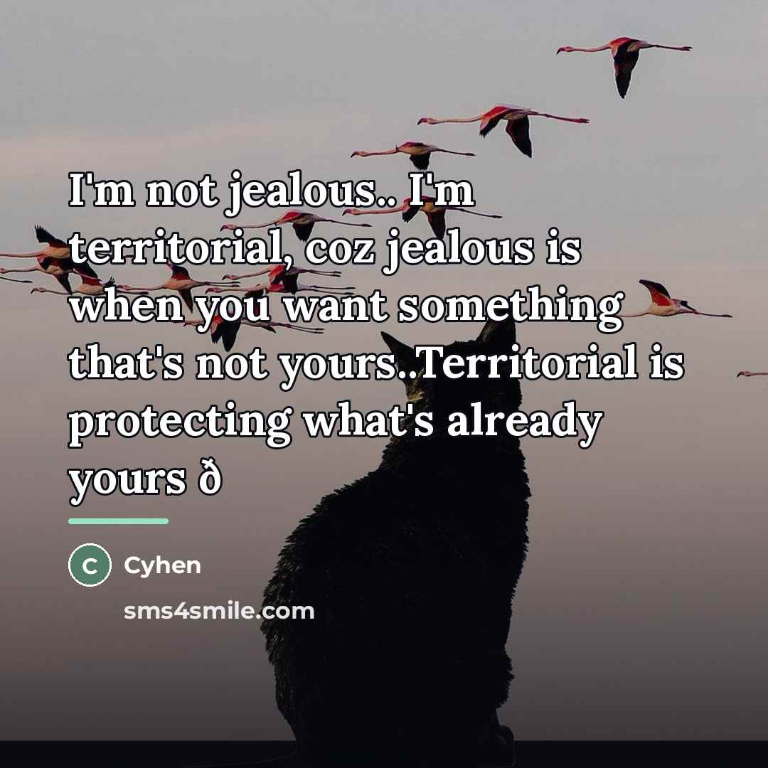 “I'm not jealous.. I'm territorial, coz jealous is when you…” quote by Cyhen