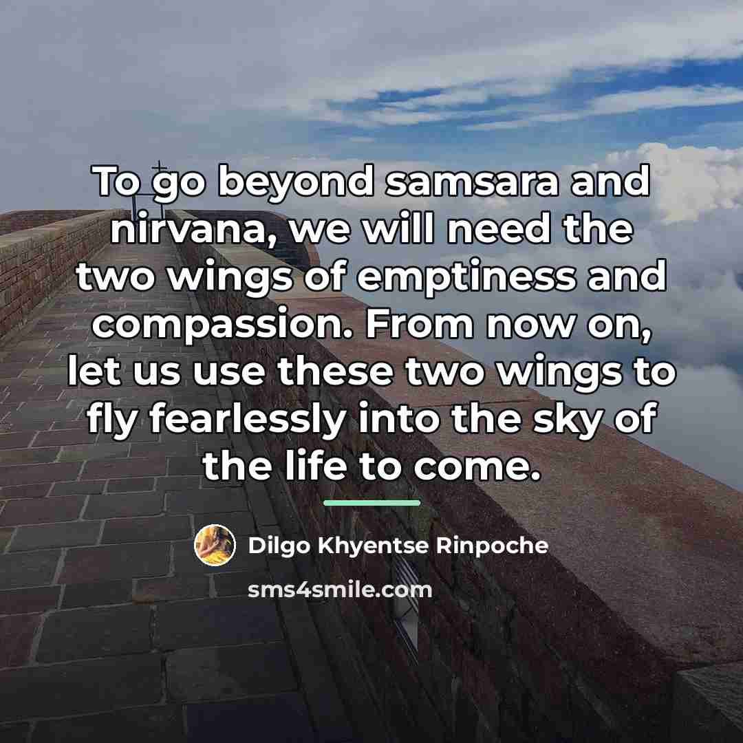 “To go beyond samsara and nirvana, we will need the…” quote by Dilgo Khyentse Rinpoche