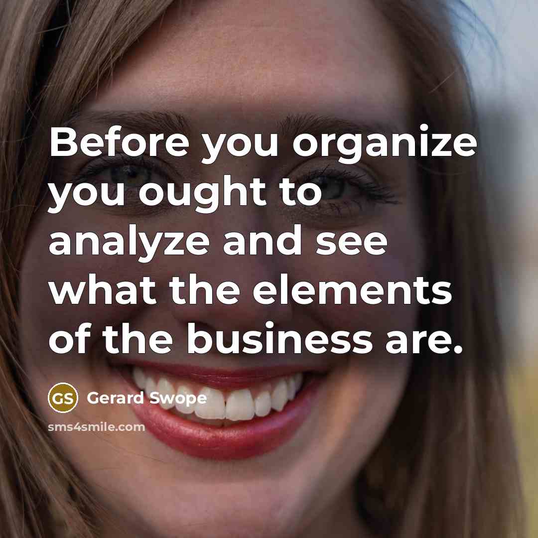 “Before you organize you ought to analyze and see what the elements of the business are.” quote by Gerard Swope
