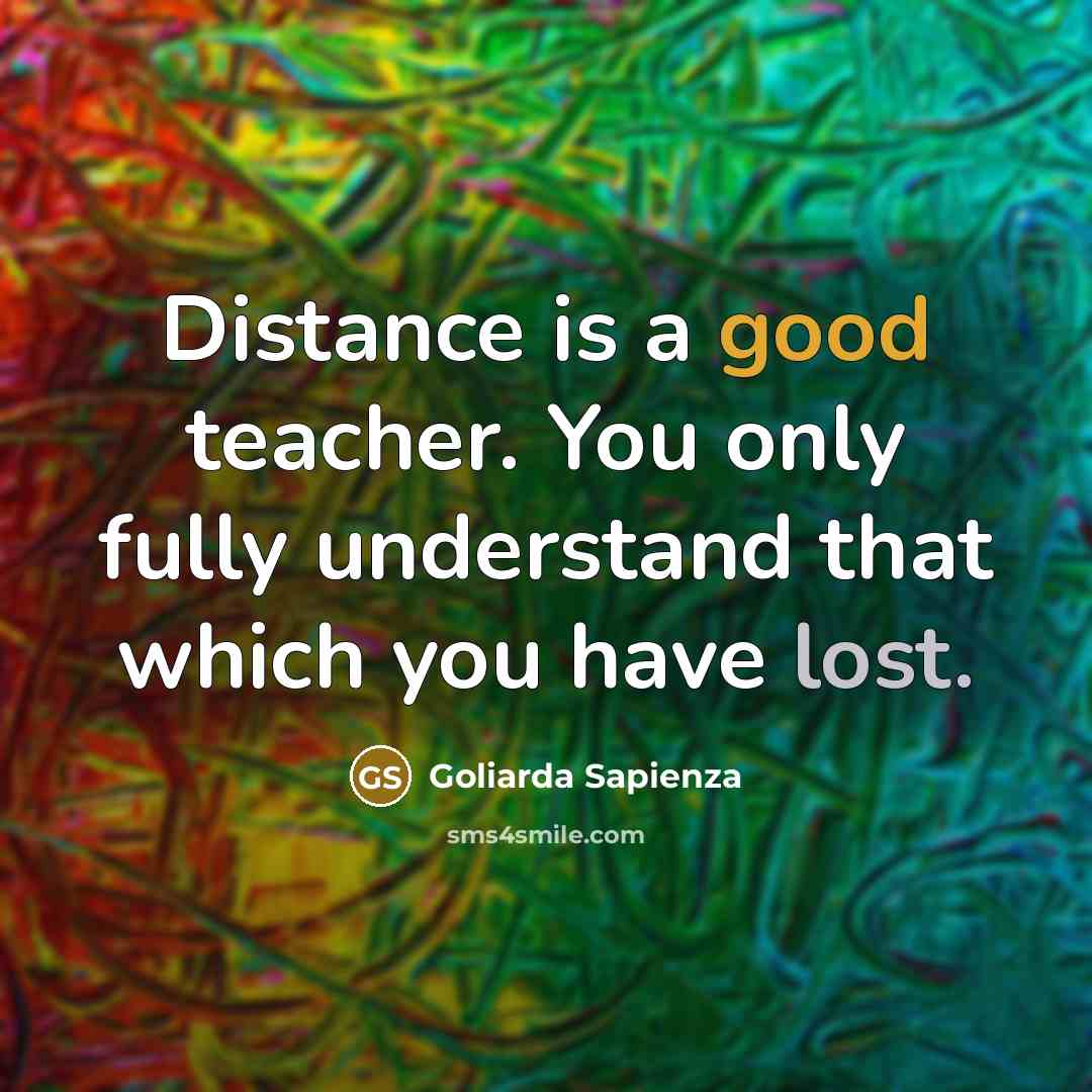 “Distance is a good teacher. You only fully understand that…” quote by Goliarda Sapienza