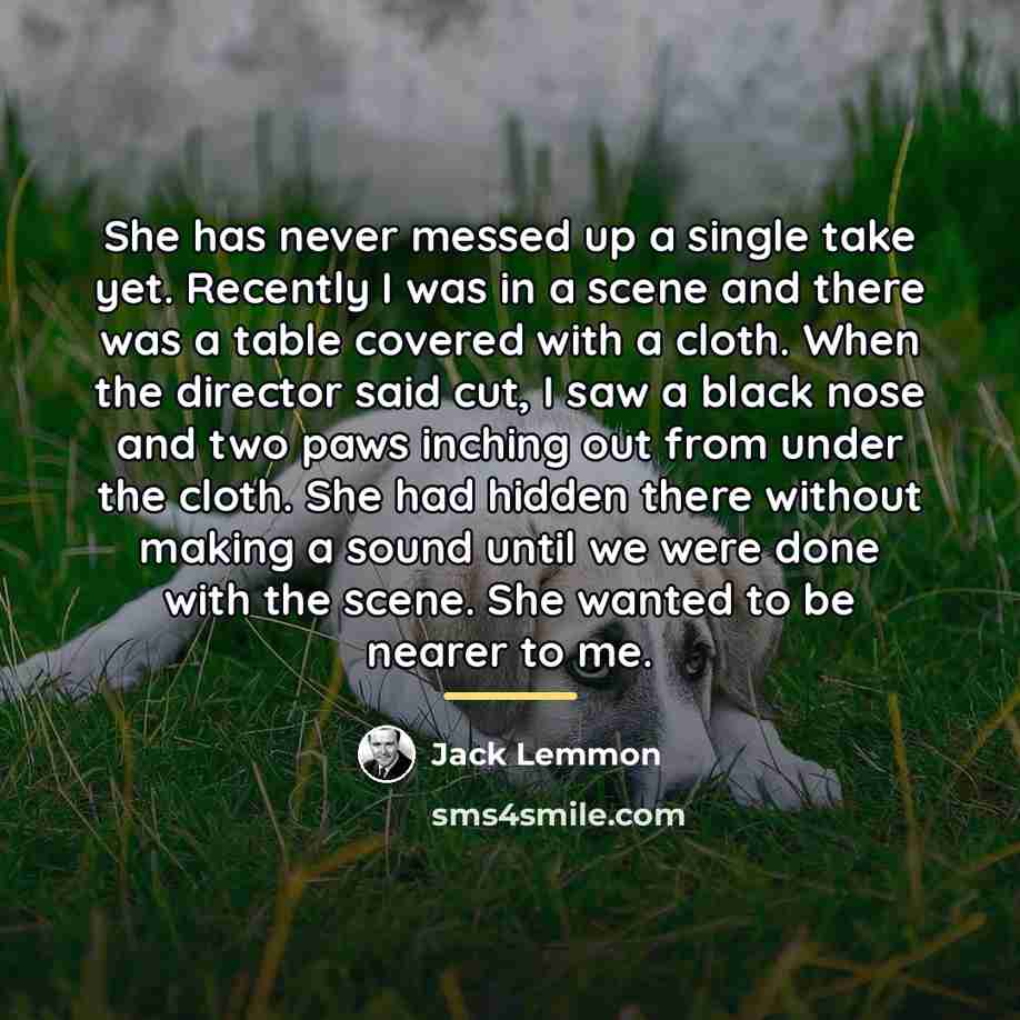 “She has never messed up a single take yet. Recently…” quote by Jack Lemmon