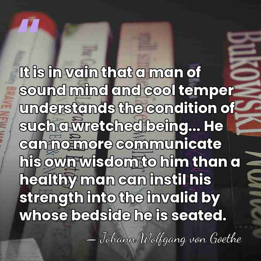 It is in vain that a man of sound mind and cool&hellip; - Johann Wolfgang von Goethe