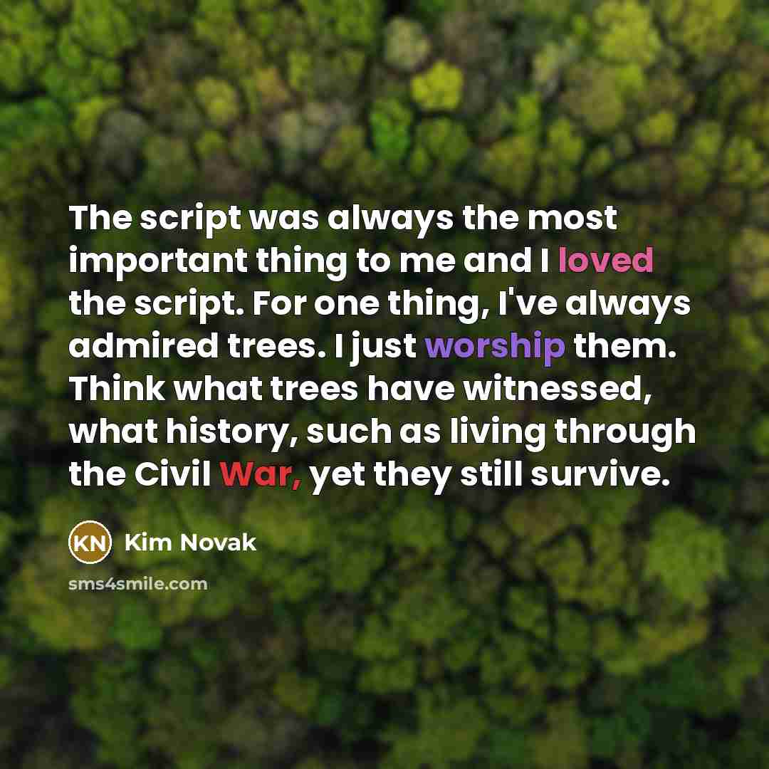 “The script was always the most important thing to me…” quote by Kim Novak