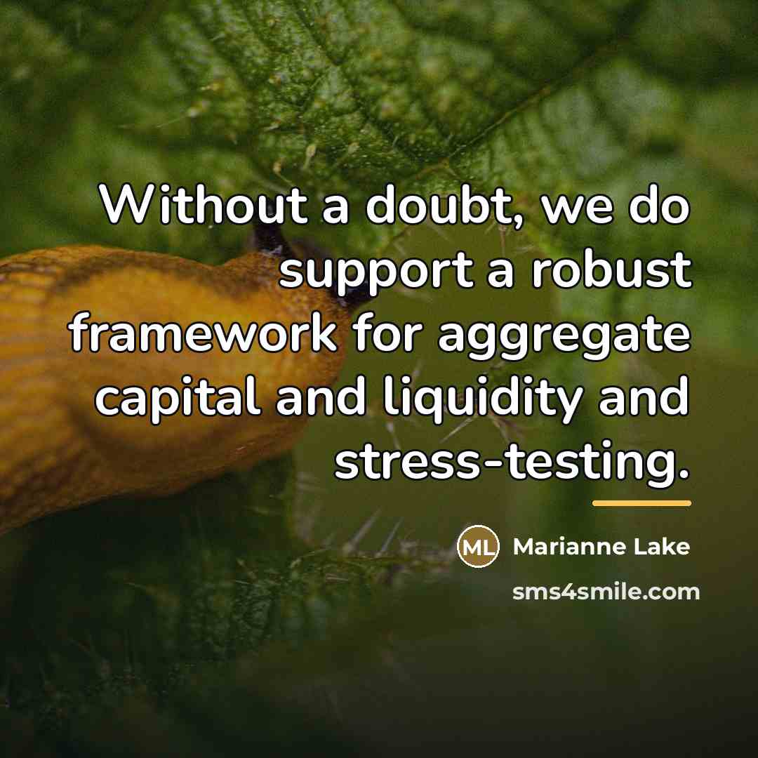 “Without a doubt, we do support a robust framework for…” quote by Marianne Lake