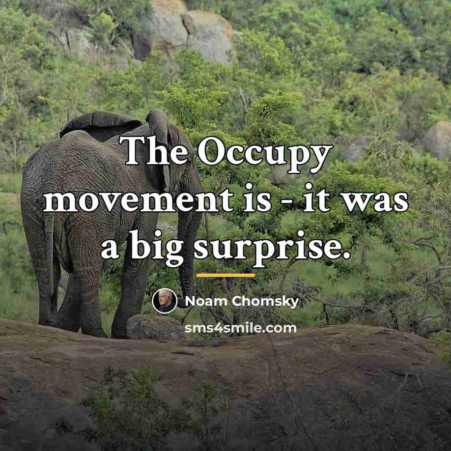 “The Occupy movement is - it was a big surprise.…” quote by Noam Chomsky
