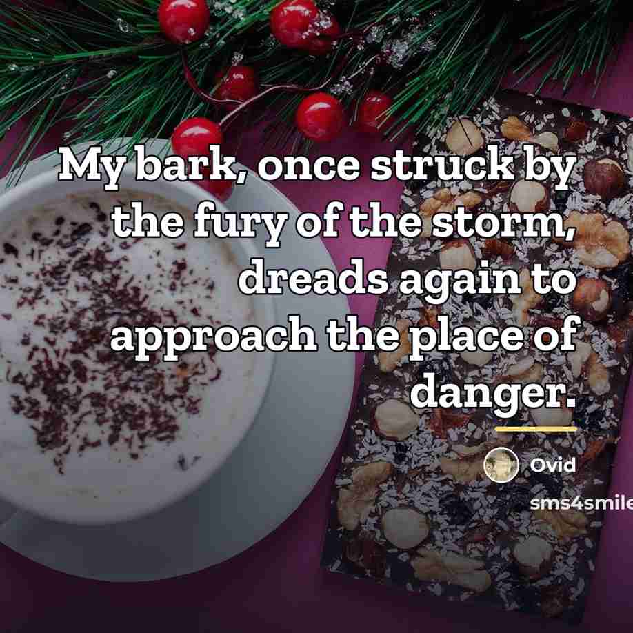 “My bark, once struck by the fury of the storm,…” quote by Ovid