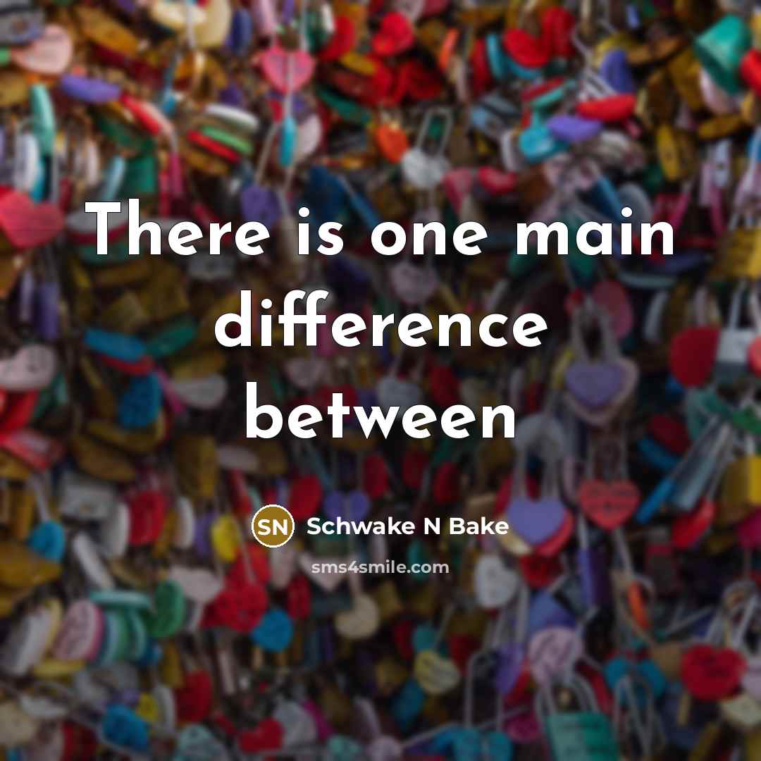 “There is one main difference between” quote by Schwake N Bake