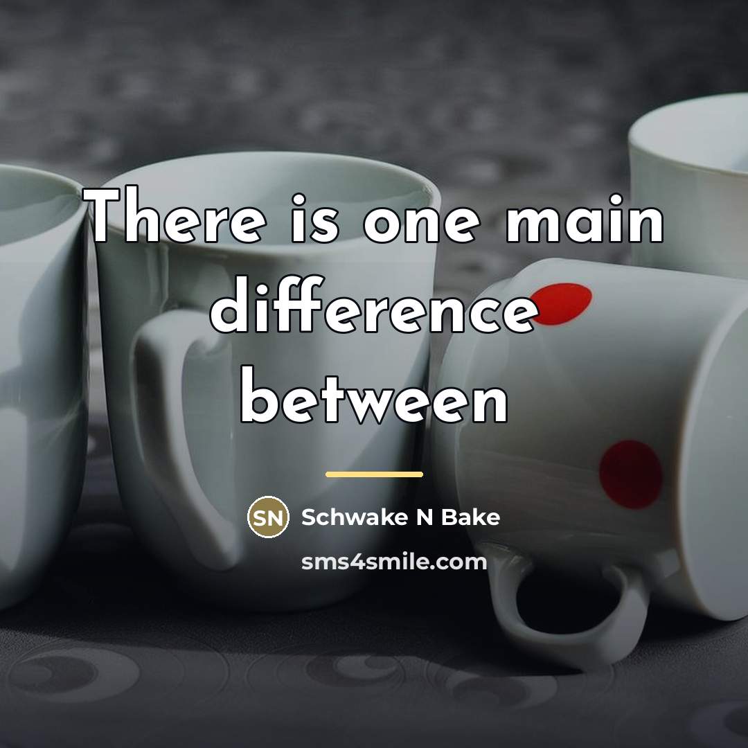 “There is one main difference between…” quote by Schwake N Bake
