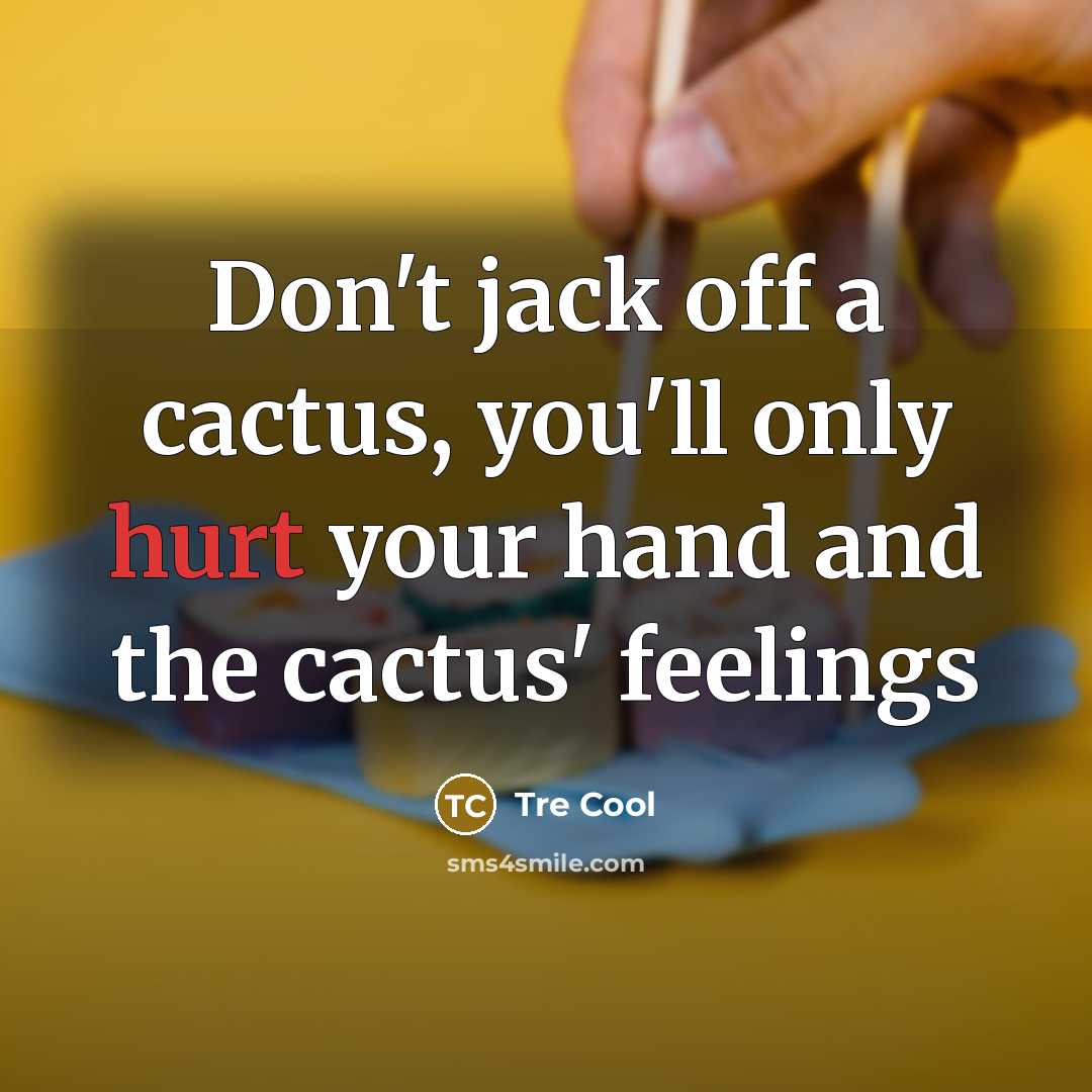 “Don't jack off a cactus, you'll only hurt your hand…” quote by Tre Cool