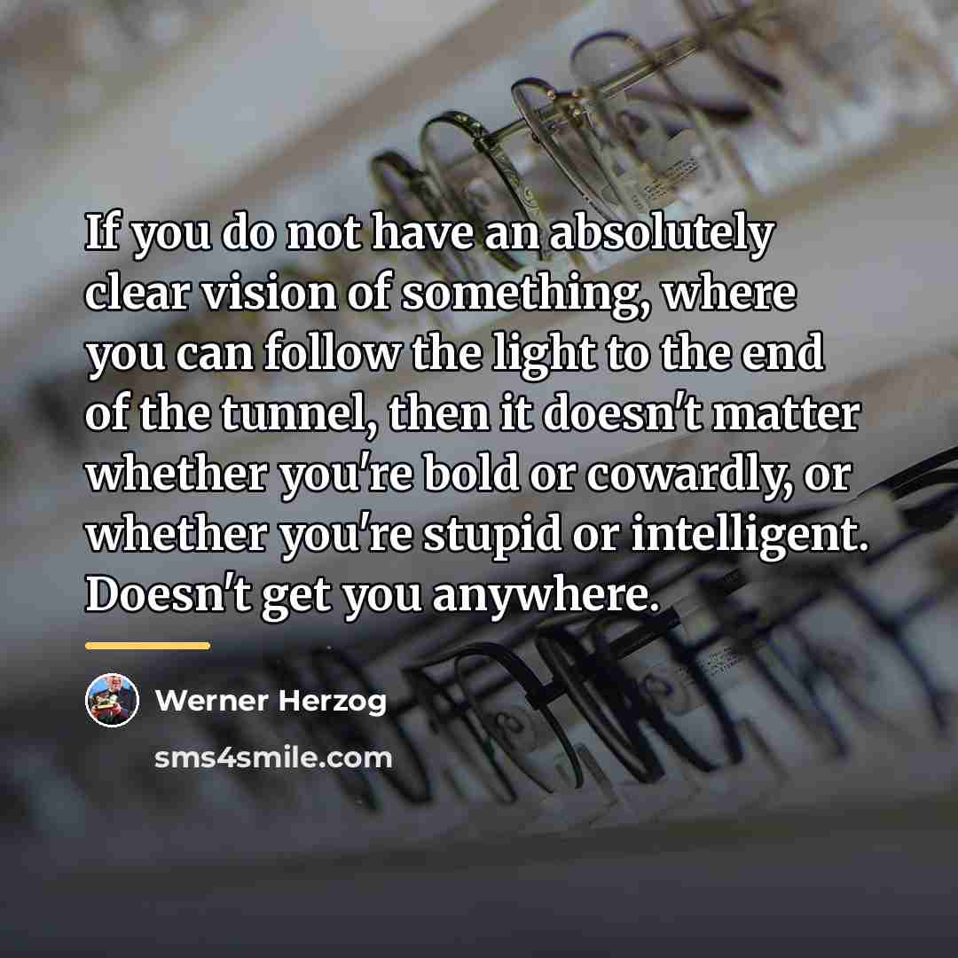 “If you do not have an absolutely clear vision of…” quote by Werner Herzog