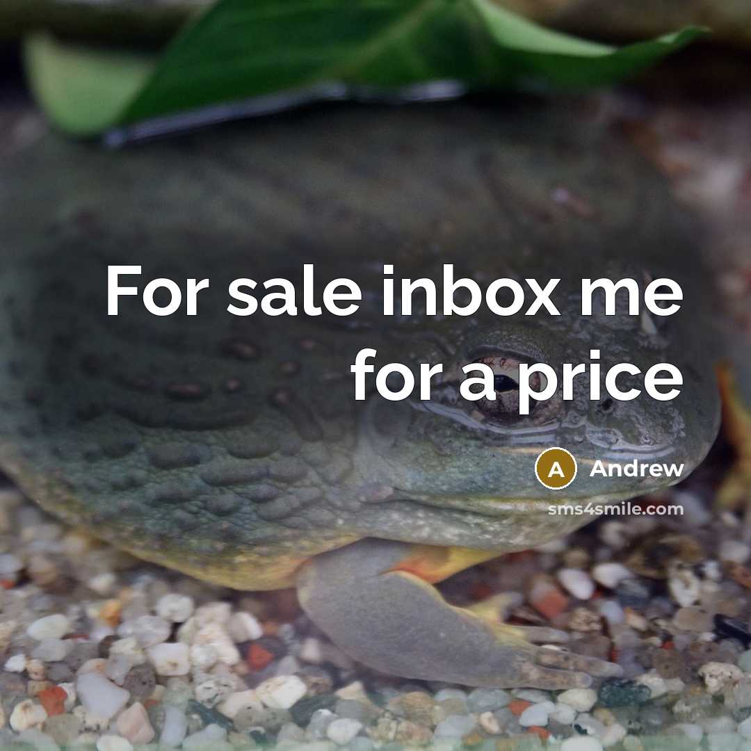 “For sale inbox me for a price…” quote by Andrew
