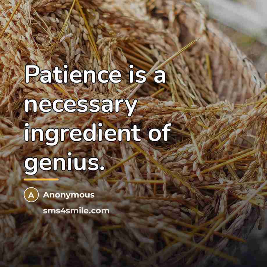 “Patience is a necessary ingredient of genius.…” quote by Anonymous