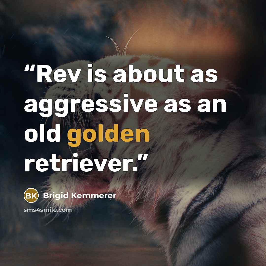 “Rev is about as aggressive as an old golden retriever.” quote by Brigid Kemmerer
